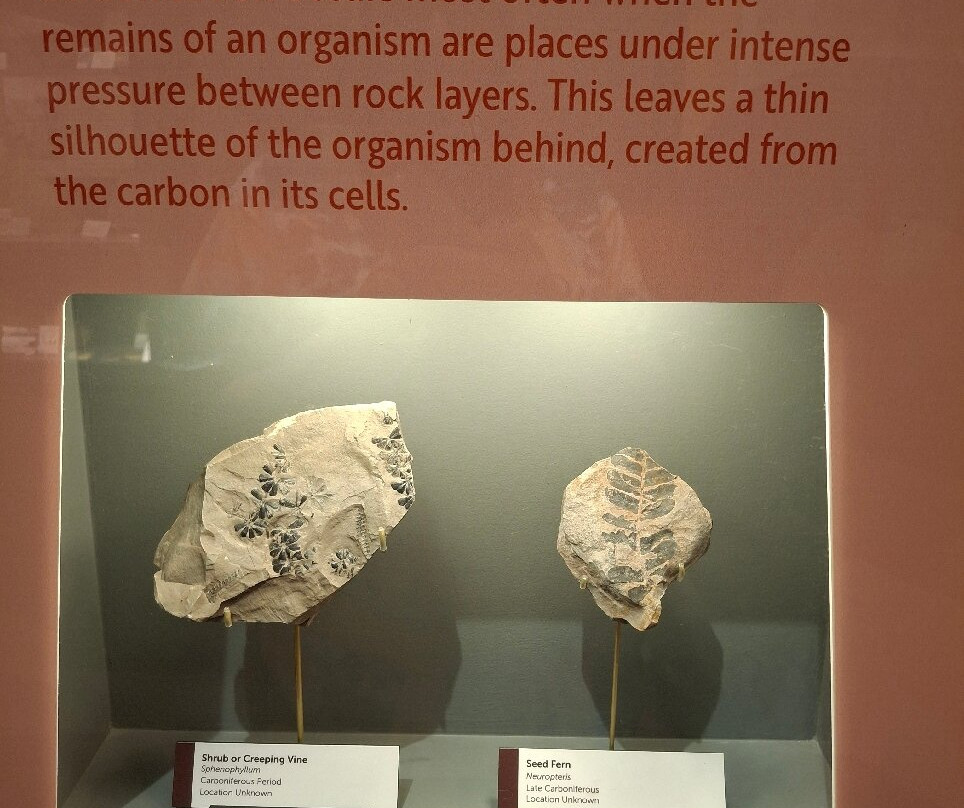 Saint Louis Science Center-圣路易斯必去景点