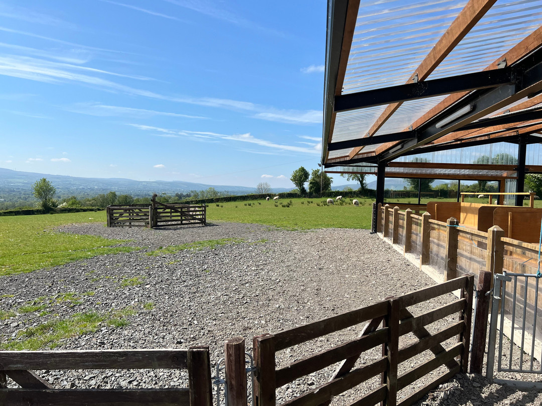 Glenshane Country Farm景点图片
