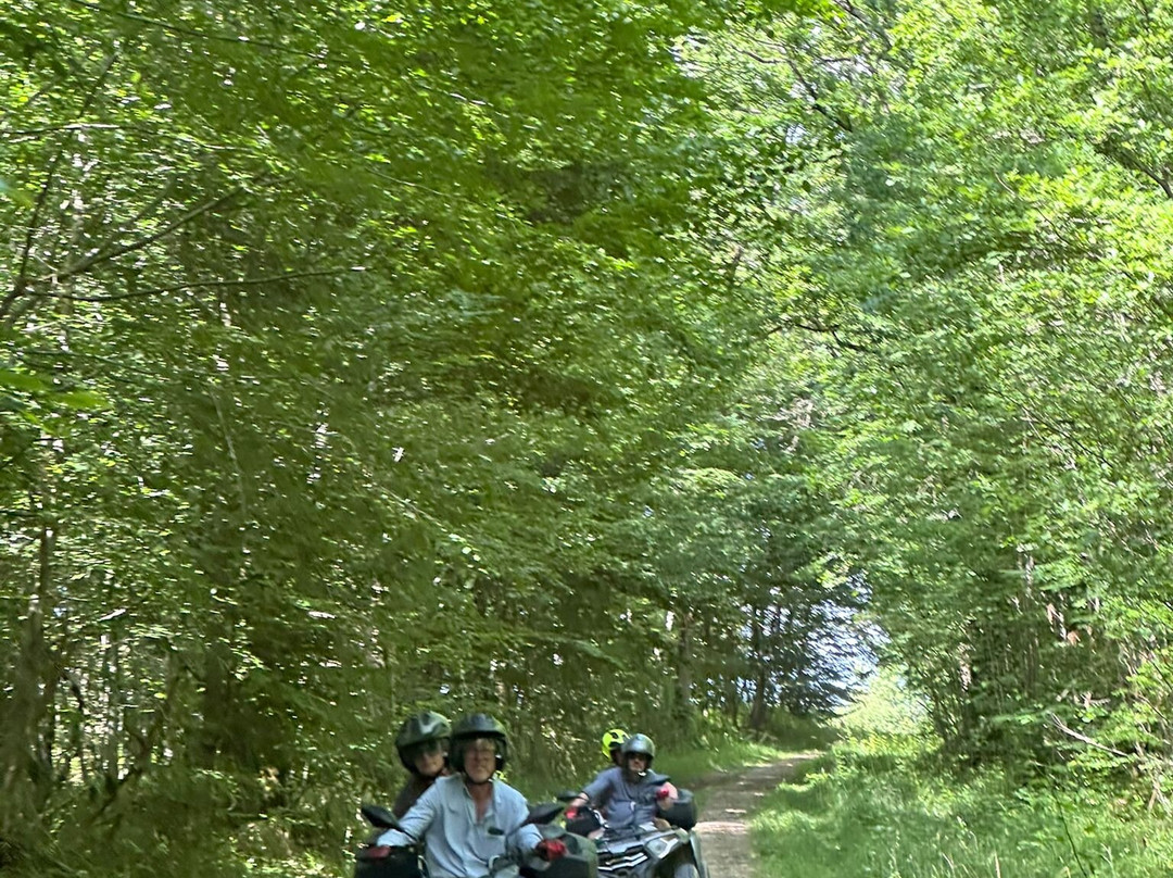 Randos en quad Off-Road Wine Tours景点图片