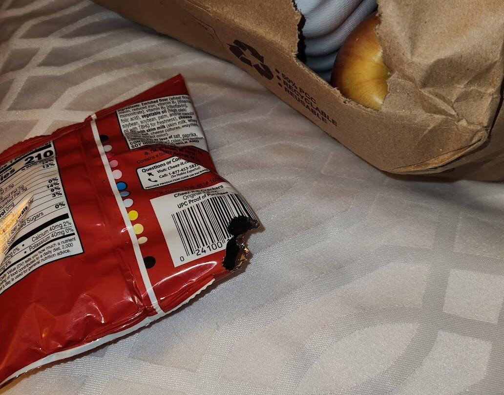 Best Western Plus Kingston Hotel And Conference Center主图