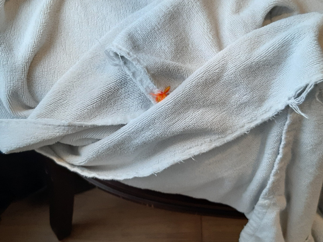 Sumitel Shangrila Deorali Gangtok主图