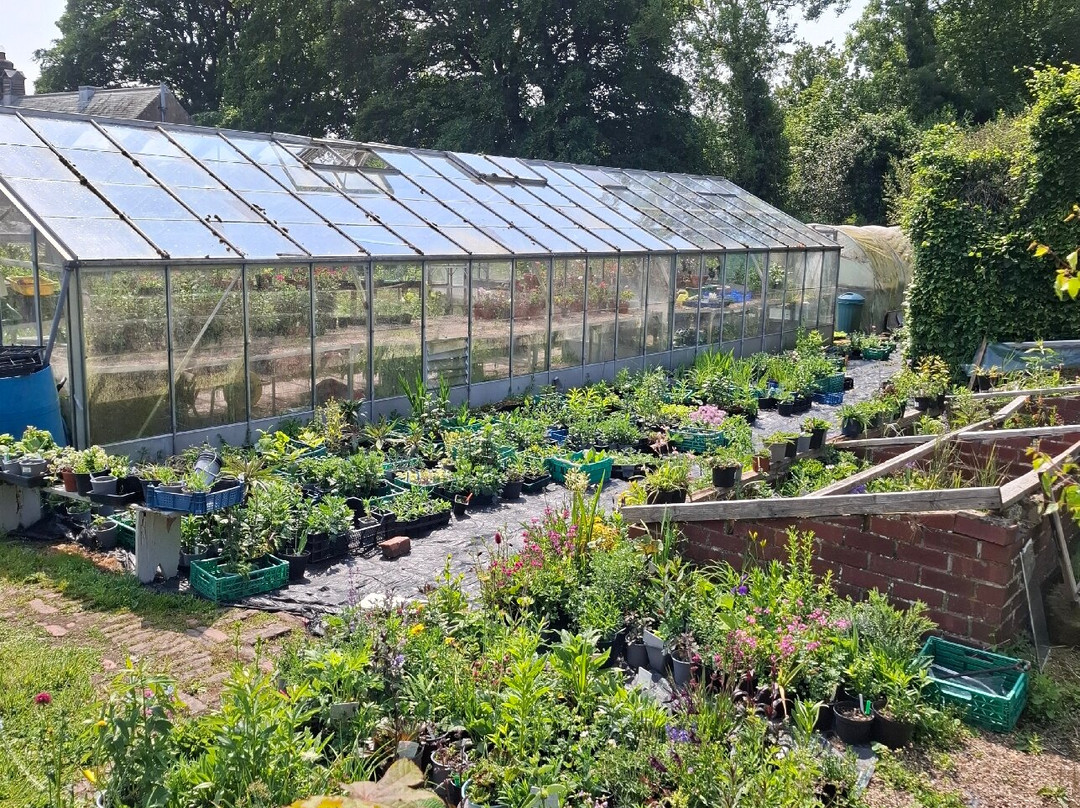 Whalton Manor Gardens景点图片