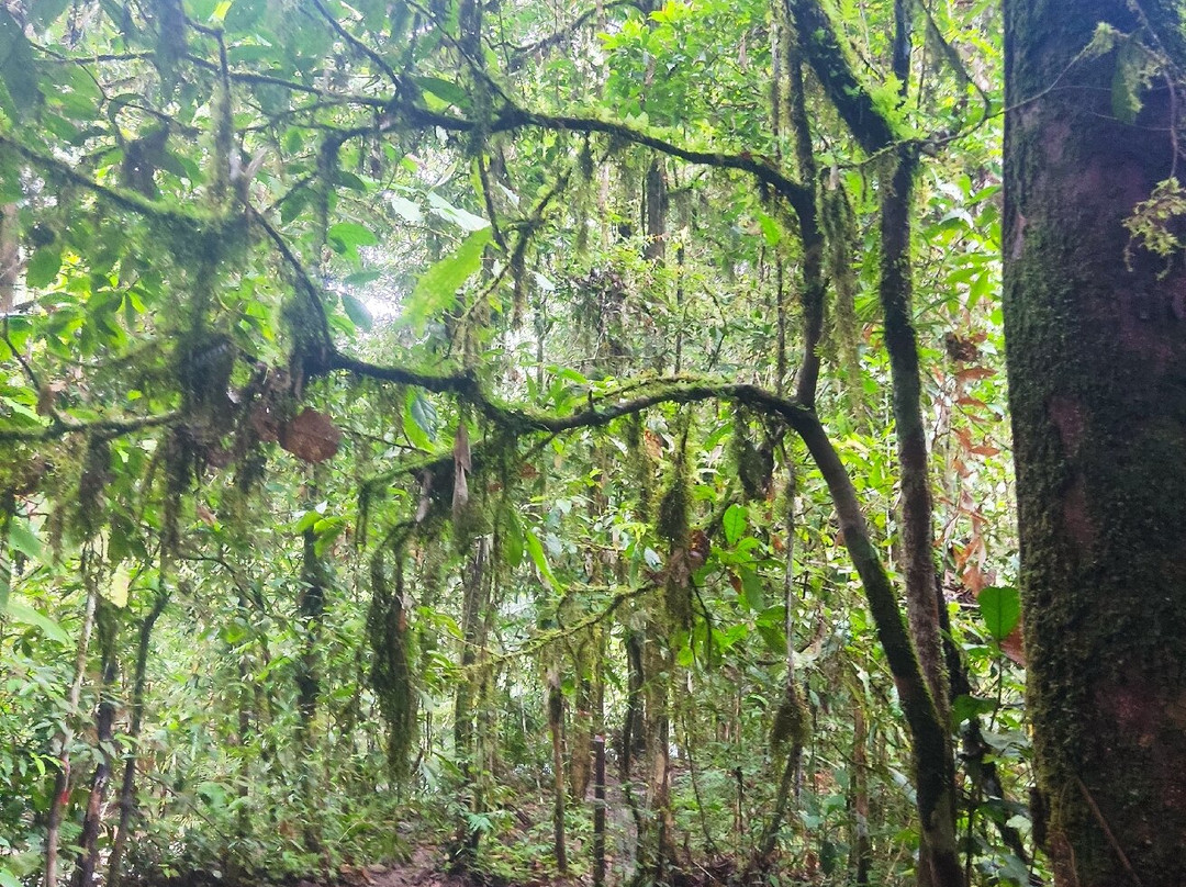 Table Waterfall-斗湖必去景点