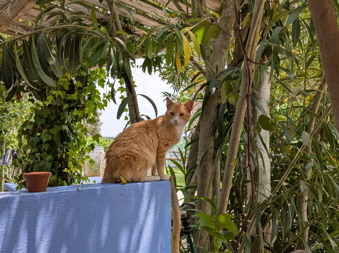 Monte Das Aranhas Guesthouse主图