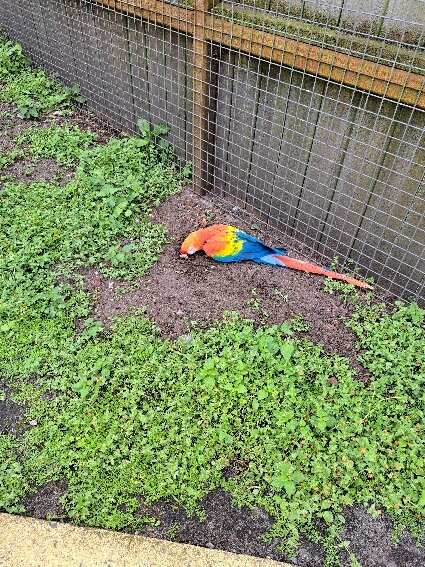 Zoo Bassin d'Arcachon景点图片