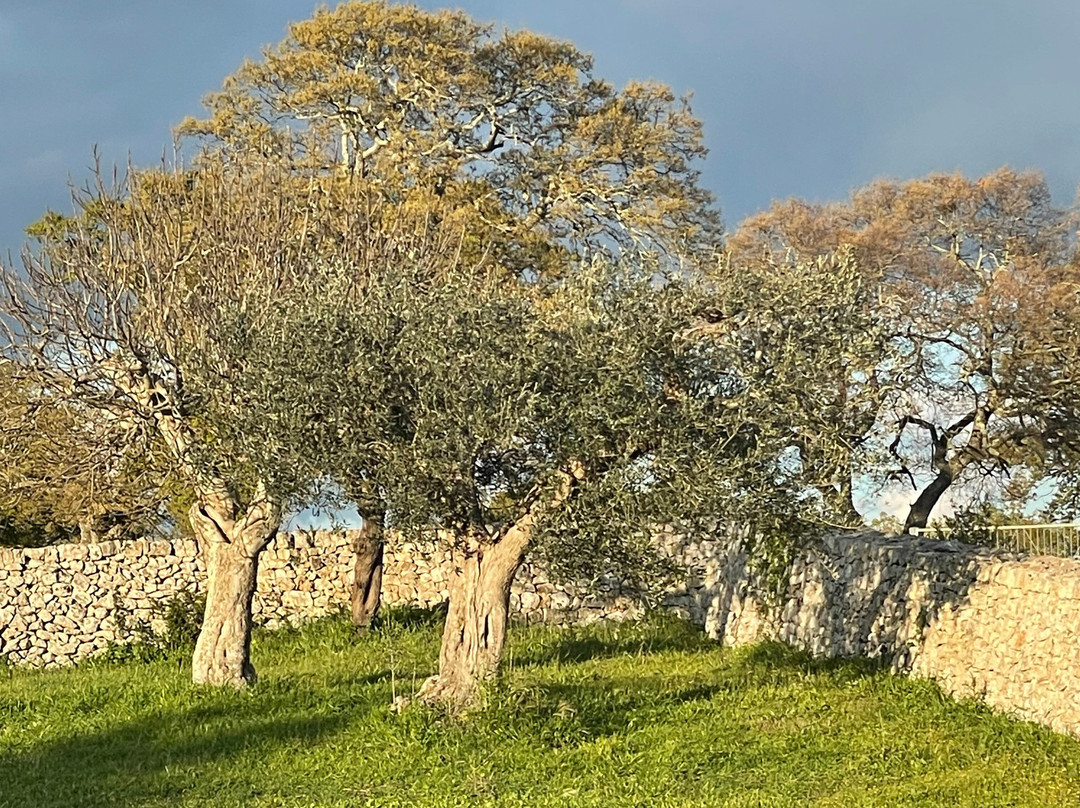 Agriturismo Masseria Aprile主图