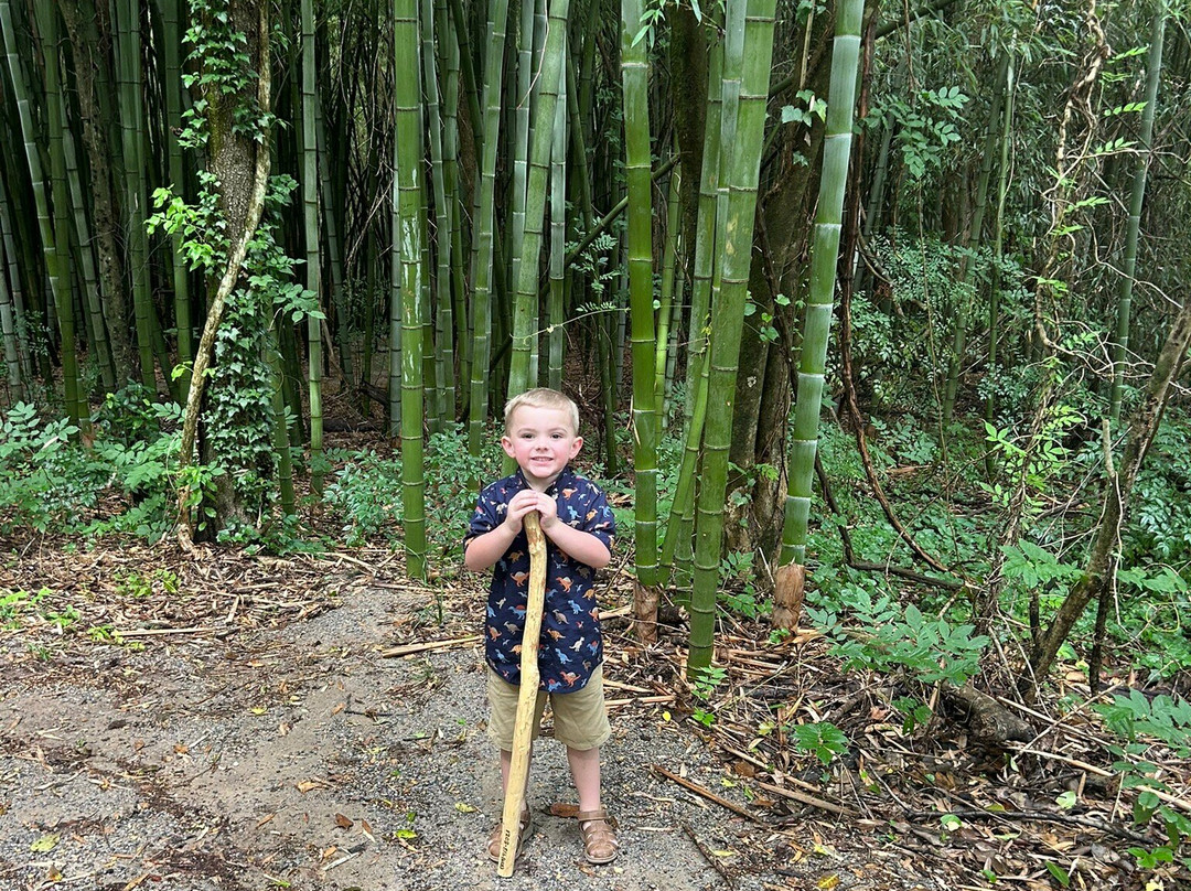 Wilderness Park-Prattville必去景点