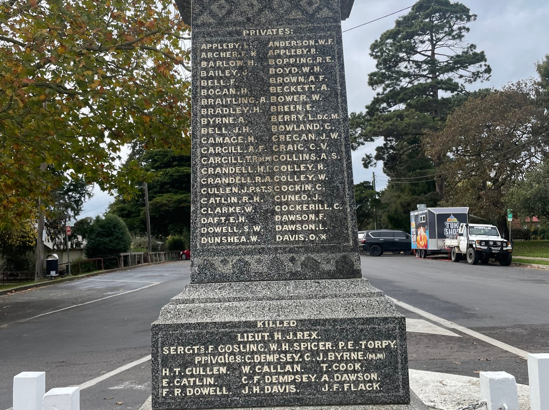 Braidwood & District Soldiers Memorial-Braidwood必去景点