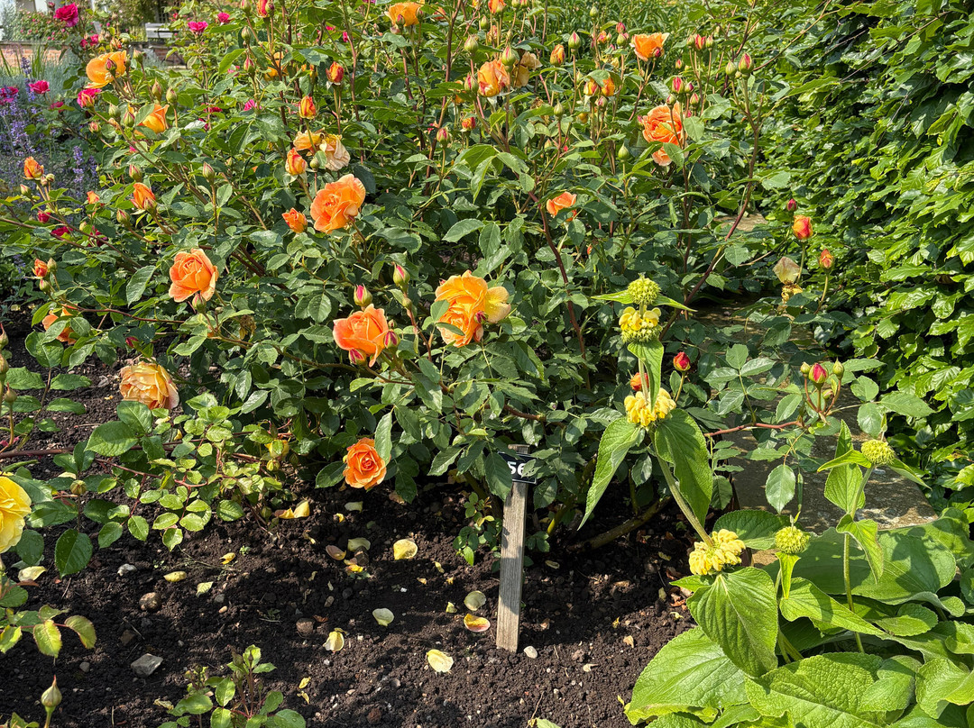 The Gardens, Wynyard Hall-Billingham必去景点