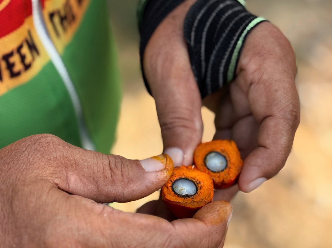 Melaka On Bike - Day Tours-马六甲必去景点