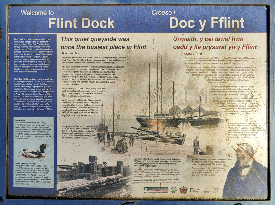 Flint Coastal Path景点图片