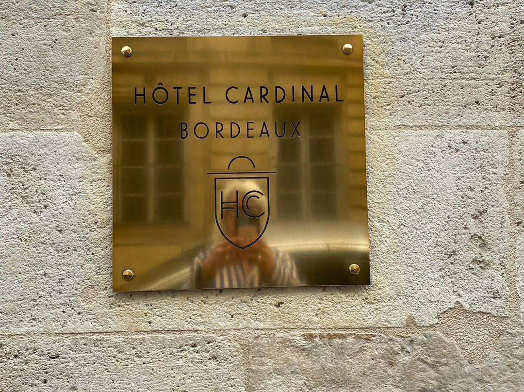 Hôtel Cardinal Bordeaux主图