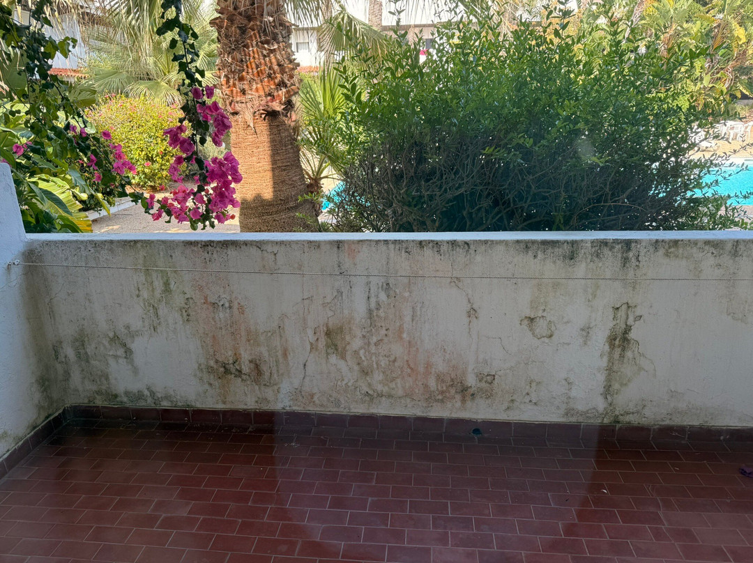 Solar De Sao Joao主图