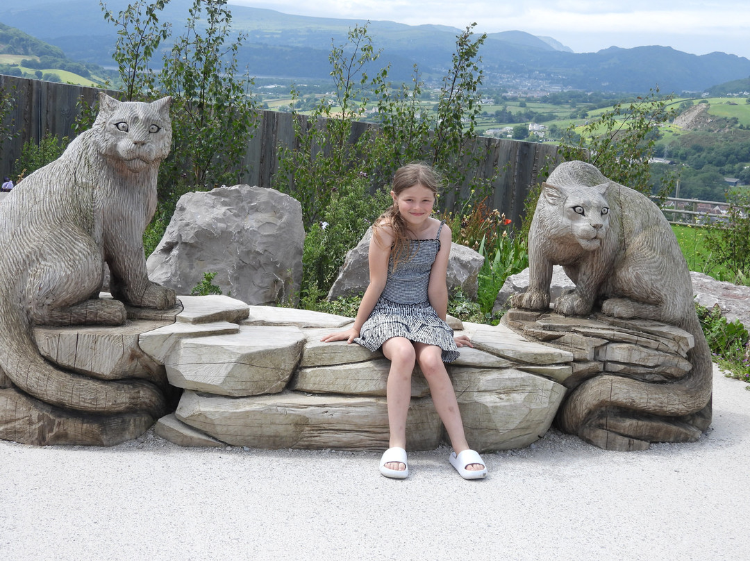 Welsh Mountain Zoo景点图片