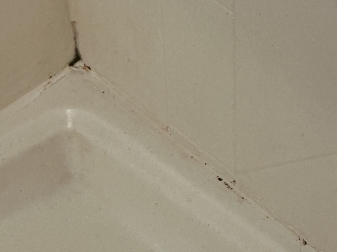 Hampton Inn & Suites Wheeling-The Highlands主图