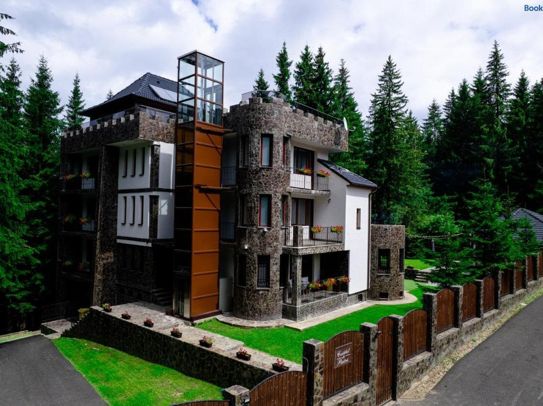 Castelul de Piatra