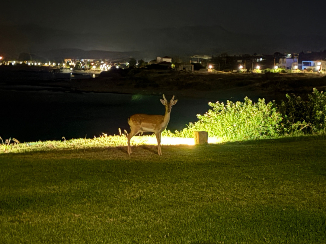 Al Mare Villas主图