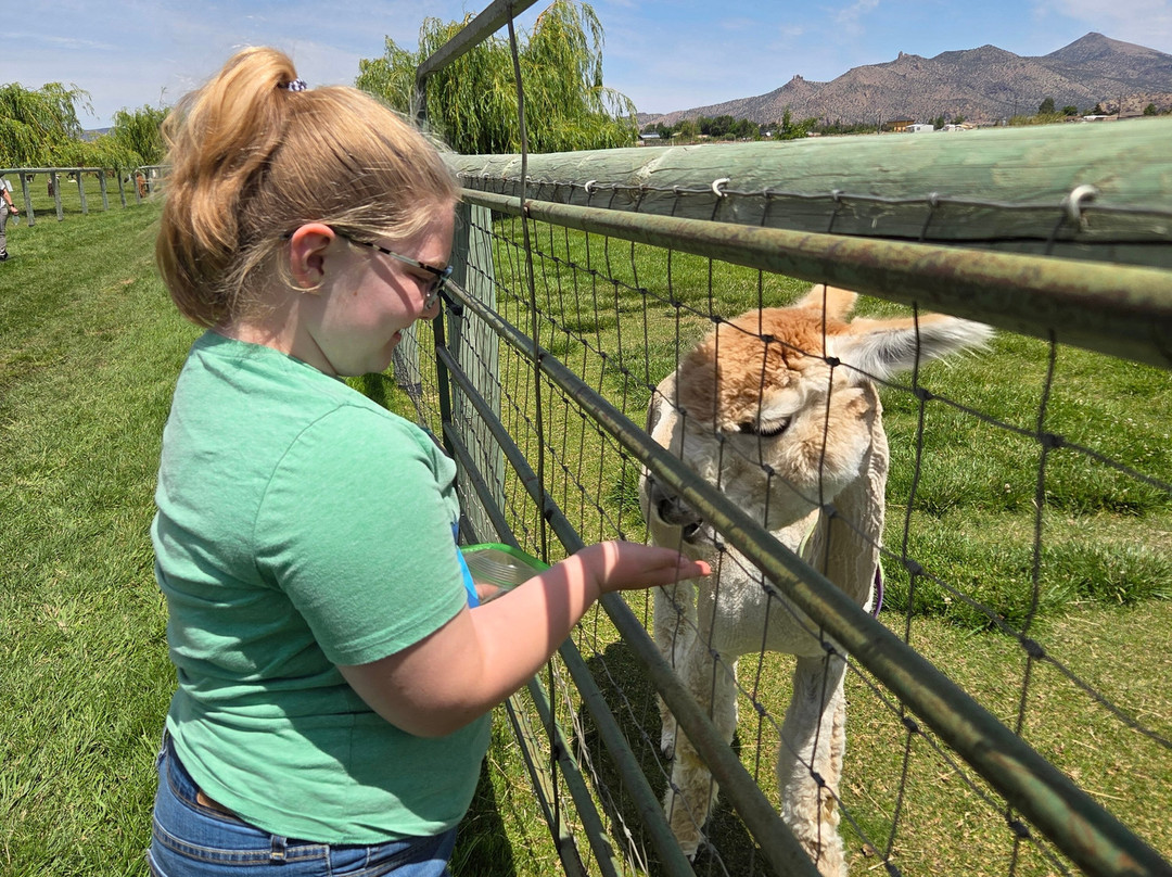 Crescent Moon Ranch-Terrebonne必去景点