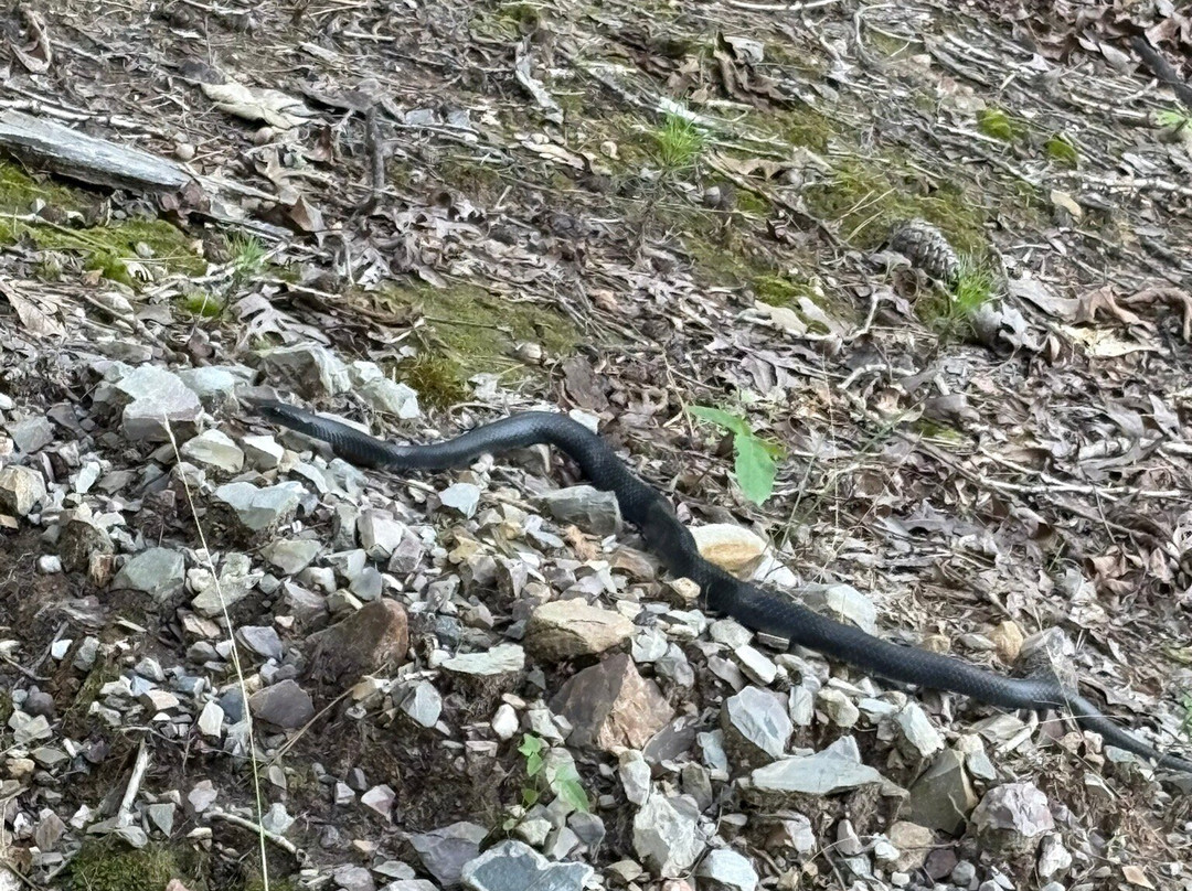 Coleman Crystal Mines and Rock Shop-Jim-Jessieville必去景点