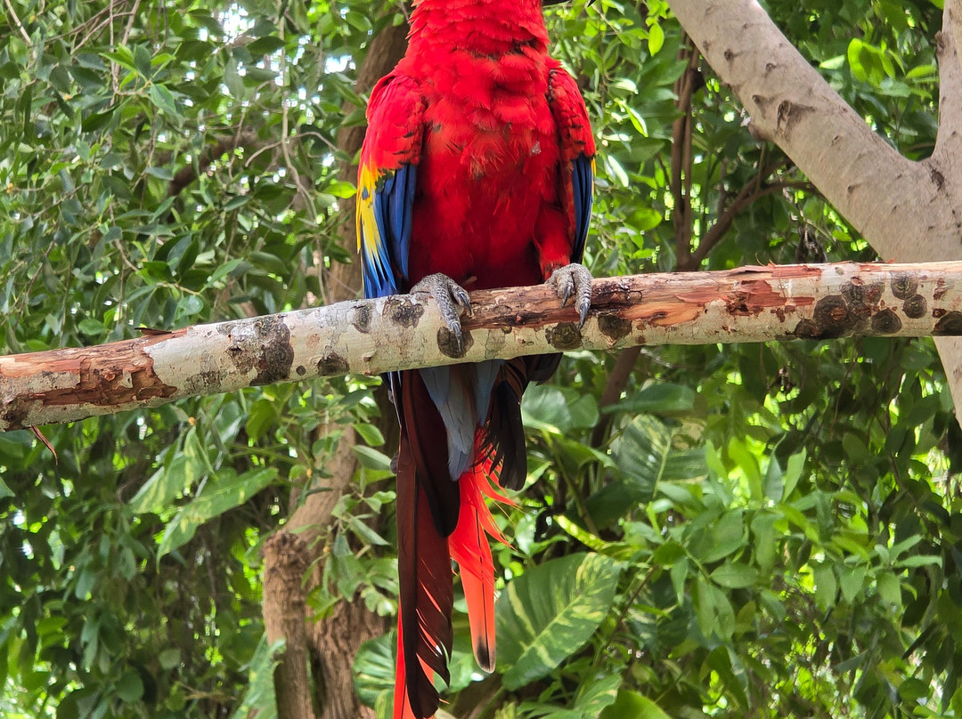 Parque Animaya-梅里达必去景点