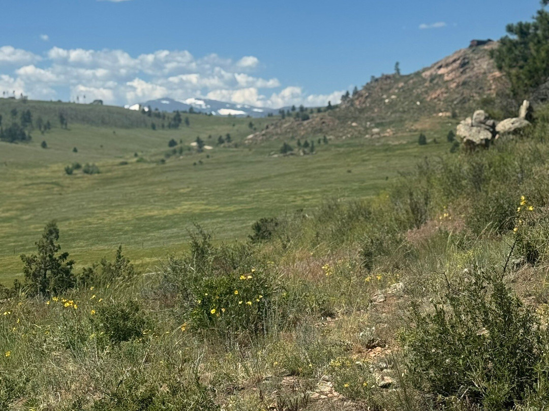 Tattered Saddle Stables At Gordon Creek-科林斯堡必去景点