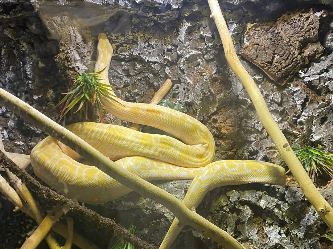 East Idaho Aquarium-爱达荷福尔斯必去景点