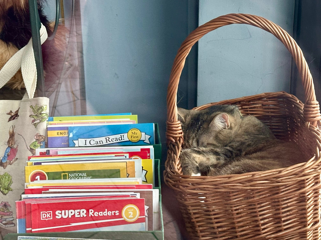 Courtyard by Marriott Carrollton主图