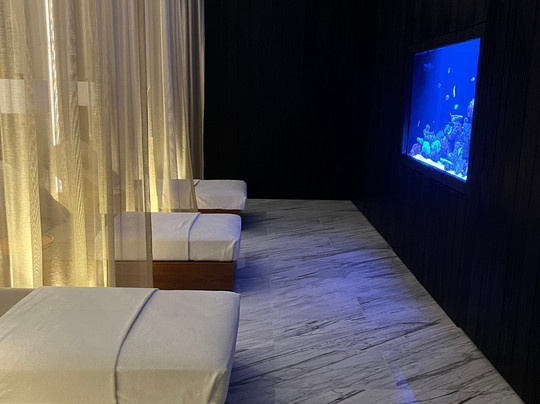 AWAKEN Wellness, Atlantis The Royal-迪拜必去景点