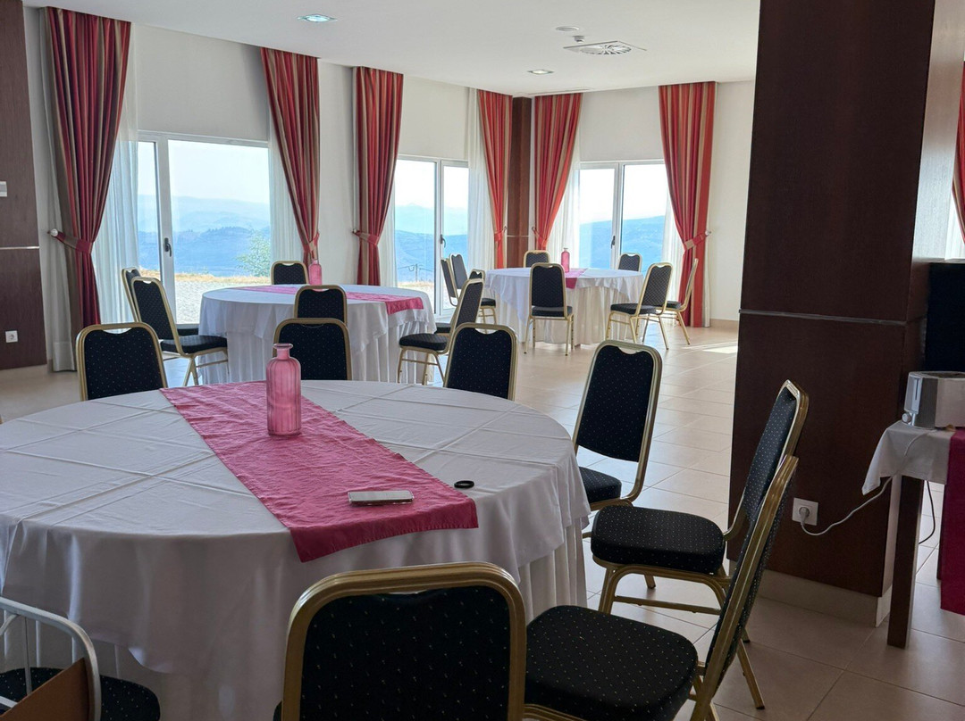 Placido Hotel Douro Tabuaco主图