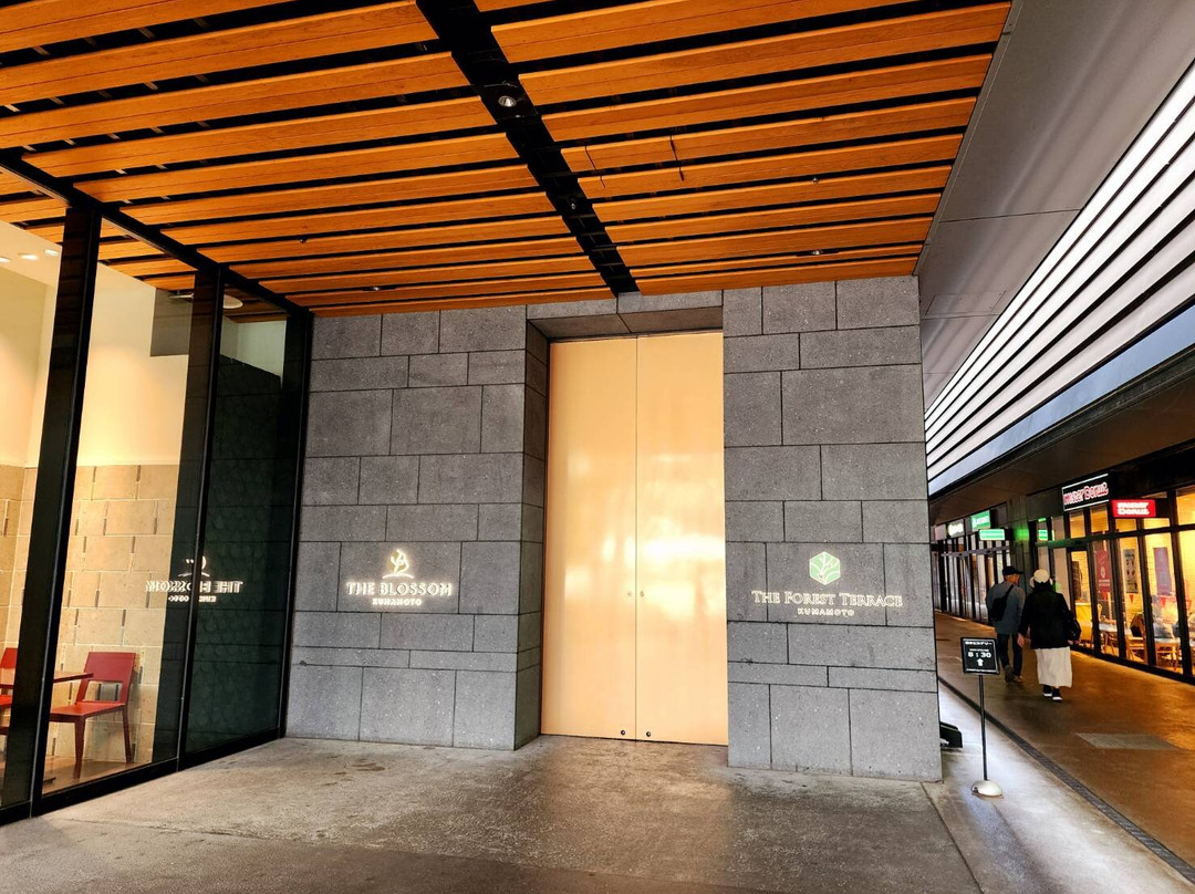 The Blossom Kumamoto