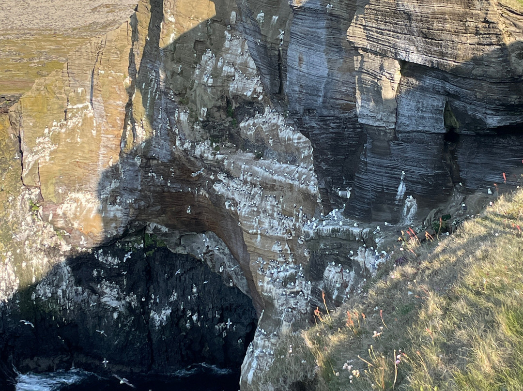Londrangar Basalt Cliffs-Hellnar必去景点