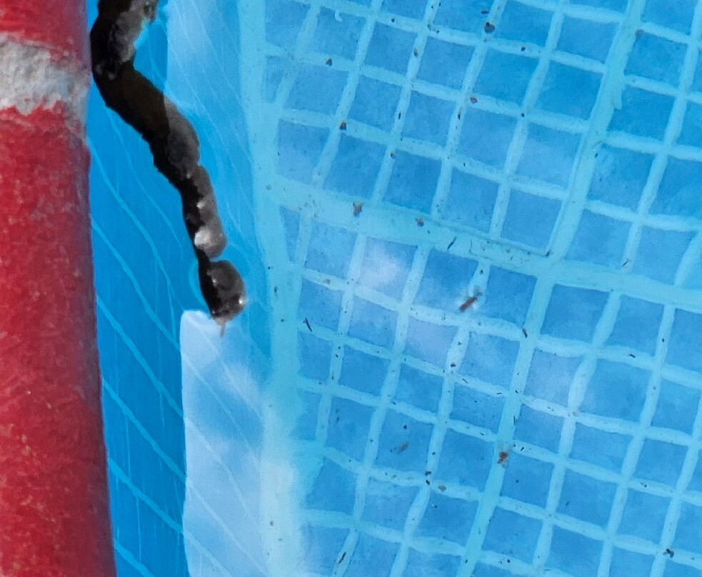 Bay View Hotel主图