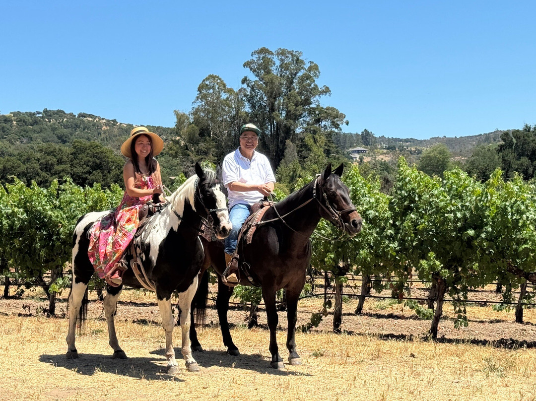 Sonoma Valley Trail Rides-索诺玛必去景点