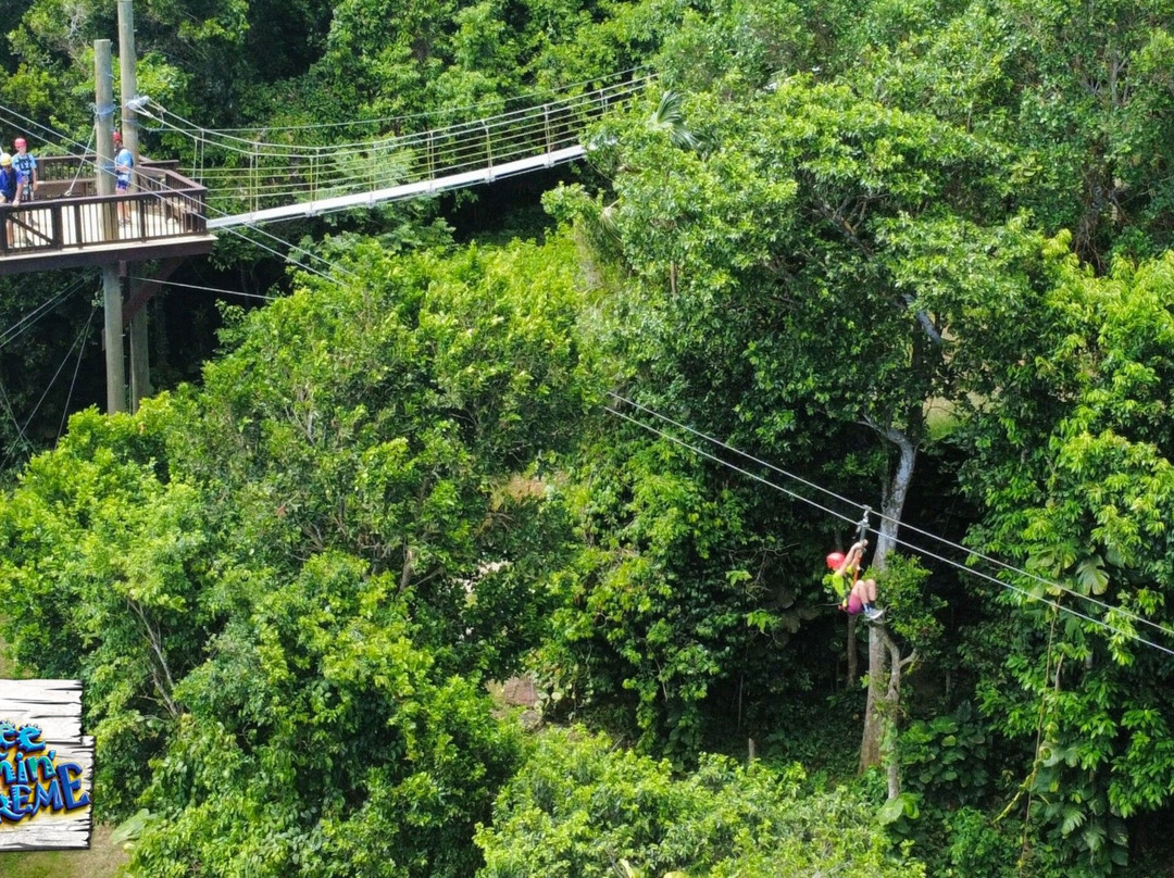 Tree Limin' Extreme Zipline-圣 托马斯必去景点