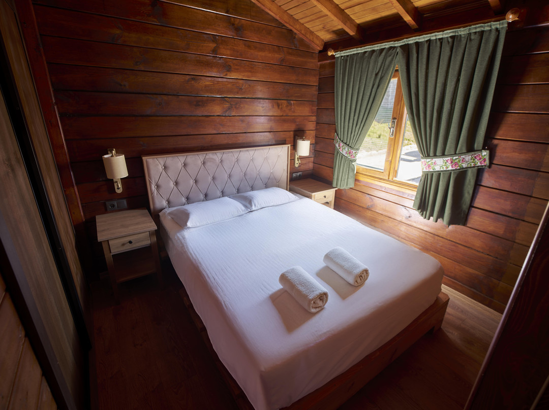 弗洛拉汉杜祖度假村及健康平房酒店主图