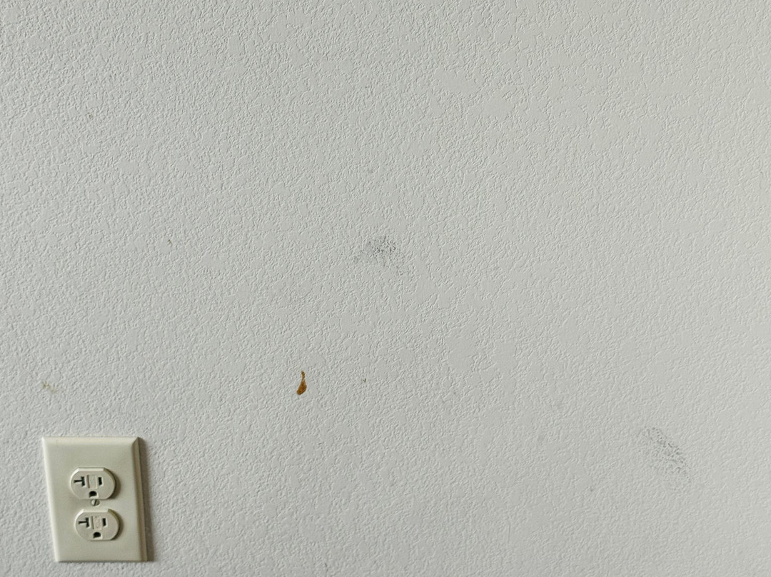 Staybridge Suites Bowling Green By IHG主图