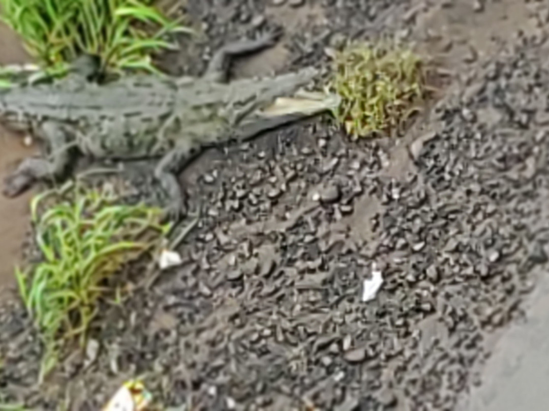 2amigos Overland Tours-帕利塔必去景点