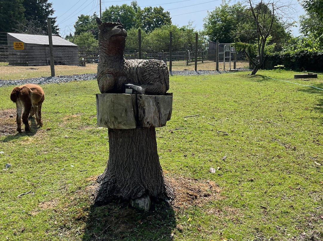 Old Mill Alpacas-Colborne必去景点