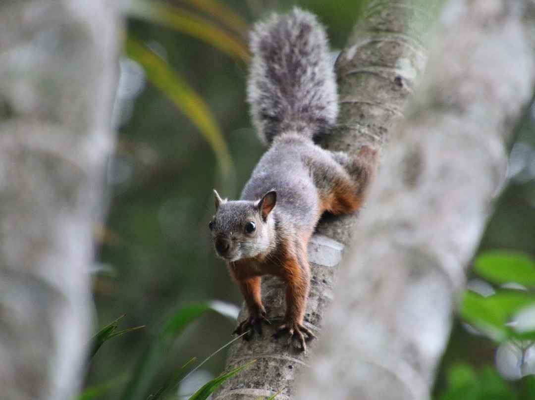 Hotel Villa San Ignacio主图