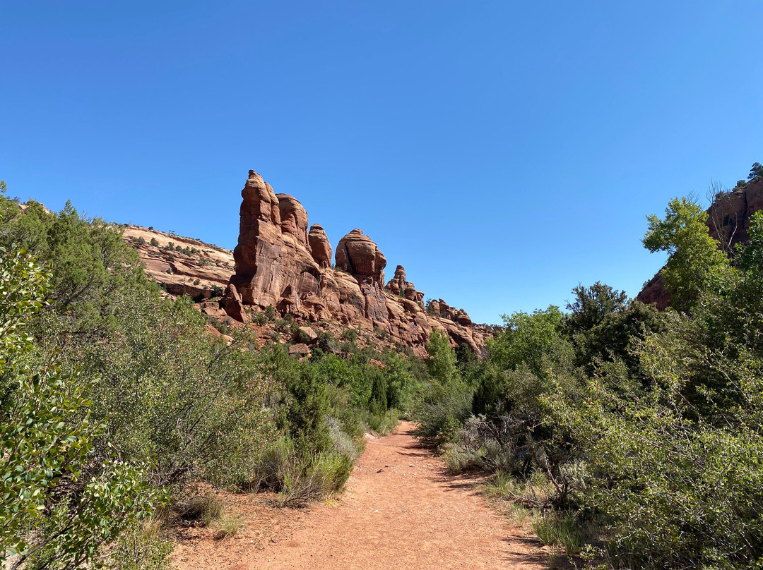 Bangs Canyon Trailhead-大章克申必去景点