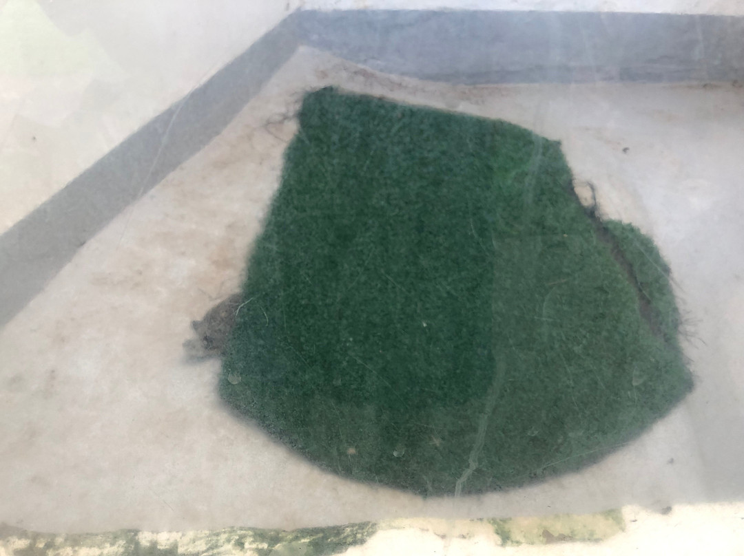 Crocodile Creek-Tongaat必去景点