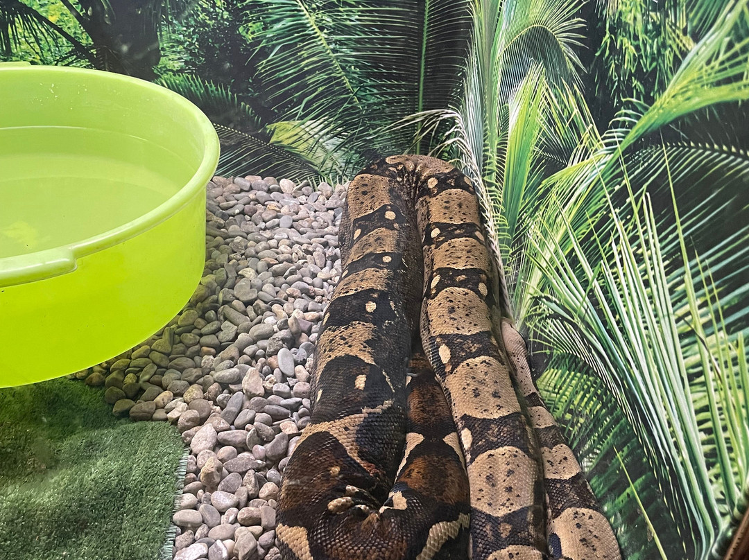 Dom Malysha Yenota-Golubitskaya必去景点