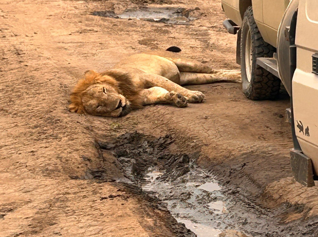 Aardvark Safari Lodge主图