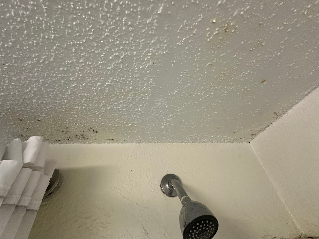 Blackstone Lodge and Suites主图