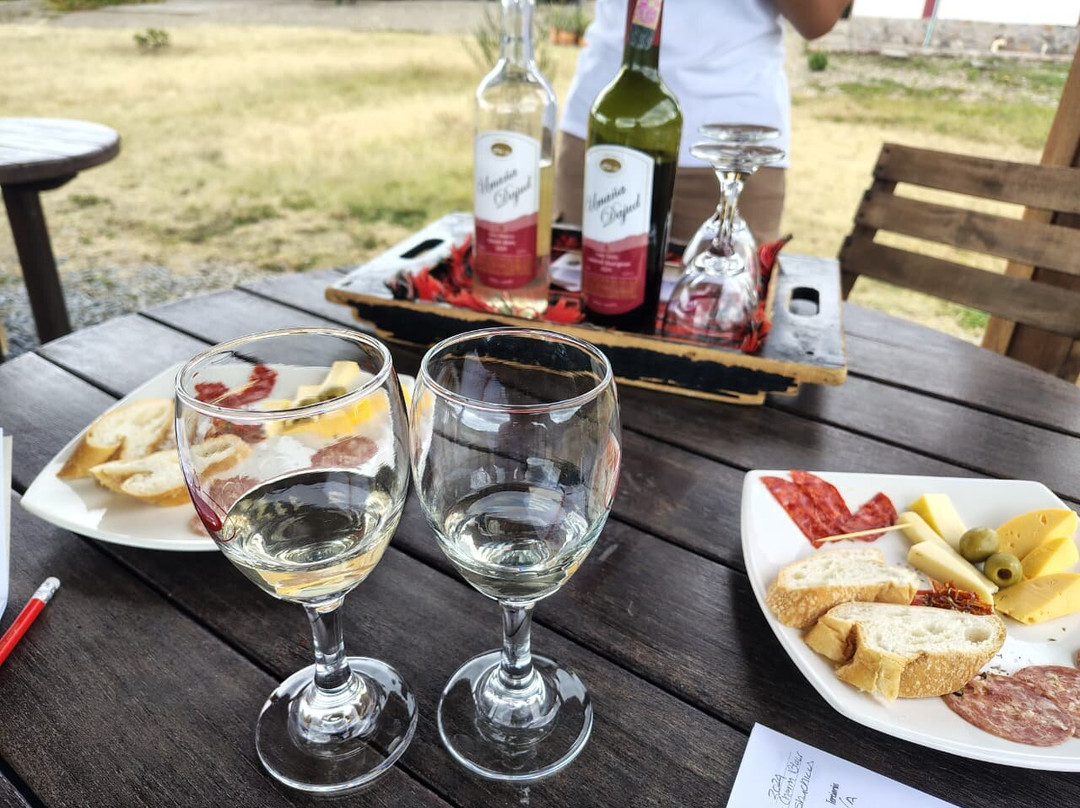 Vinedo Umana Dajud-莱瓦镇必去景点