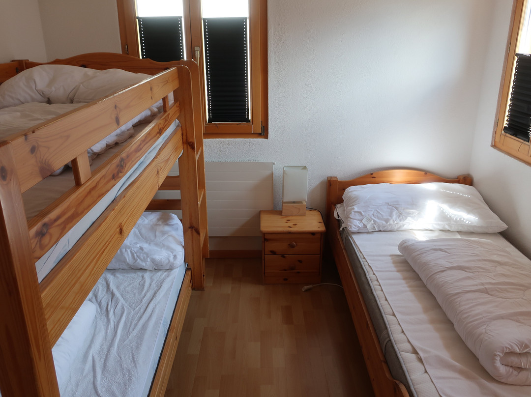 Aktiv Hotel & Spa Hannigalp主图