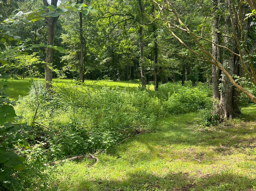 Camp Ford-泰勒必去景点