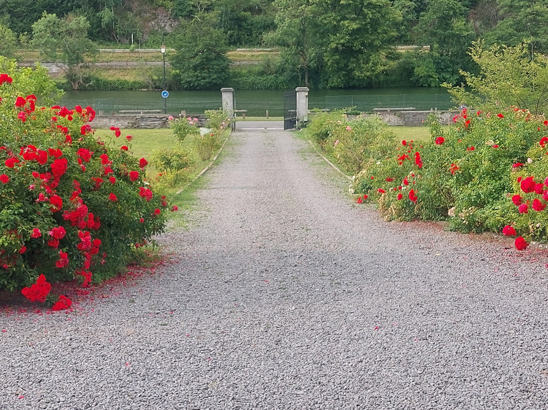 克洛斯美人玫瑰酒店主图