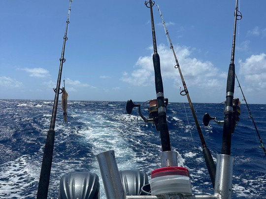 Blue Heaven Charter-伊斯拉摩拉达必去景点
