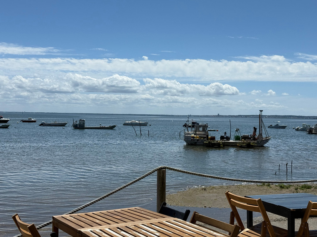 La Cabane Chez TT Direct Producteur